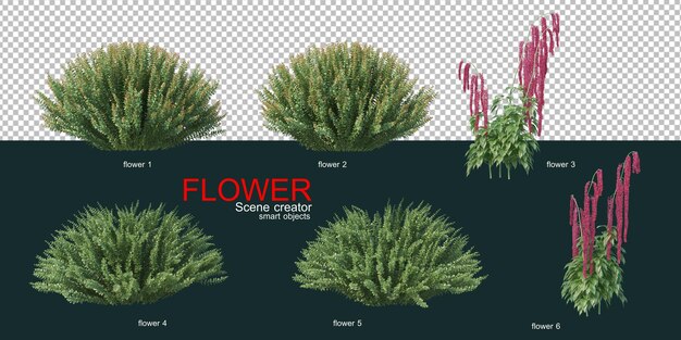muchos tipos de flores de colores