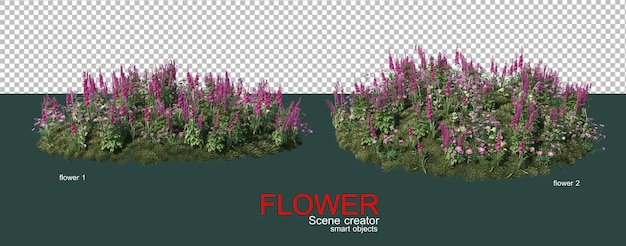 muchos tipos de flores de colores