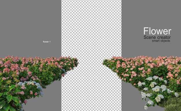 muchos tipos de flores