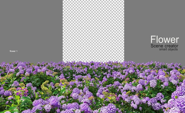 muchos tipos de flores