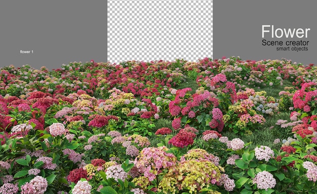 muchos tipos de flores
