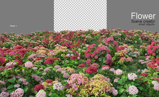 PSD muchos tipos de flores