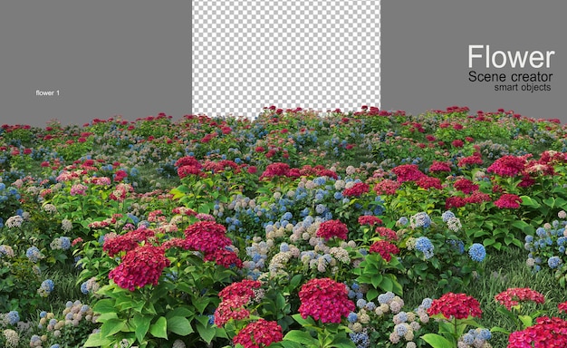 PSD muchos tipos de flores