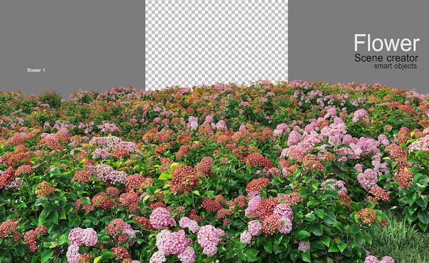 PSD muchos tipos de flores