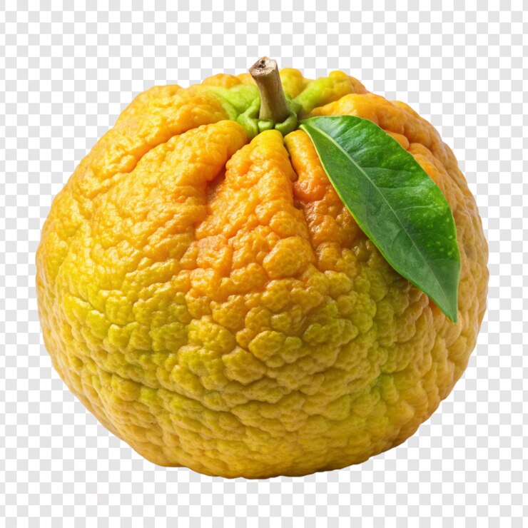 se muestra un pomelo amarillo y verde en un fondo transparente