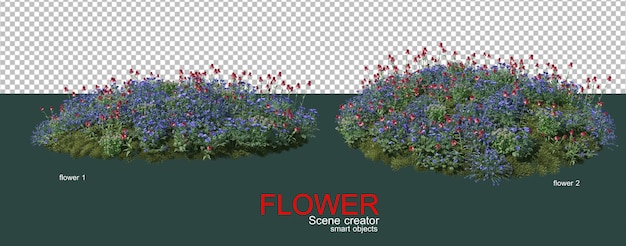 muitos tipos de flores coloridas
