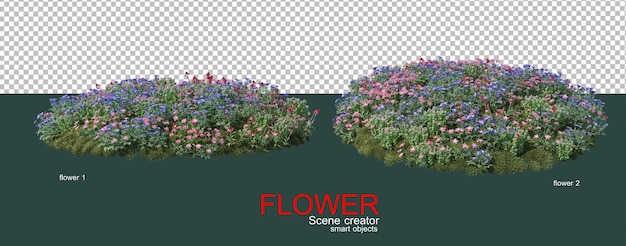 muitos tipos de flores coloridas