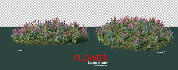 muitos tipos de flores coloridas