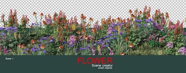 PSD muitos tipos de flores coloridas