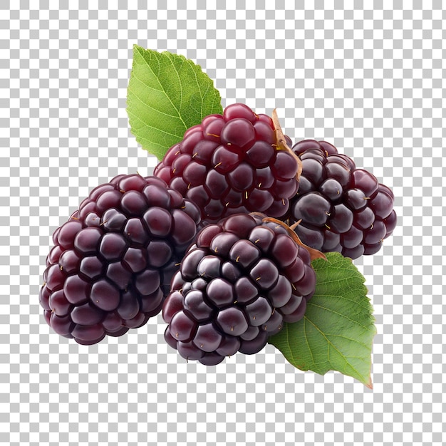 PSD mulberries frescas empilhadas no chão, bagas orgânicas saudáveis, ingredientes naturais, conceito de pn gerado por ia.