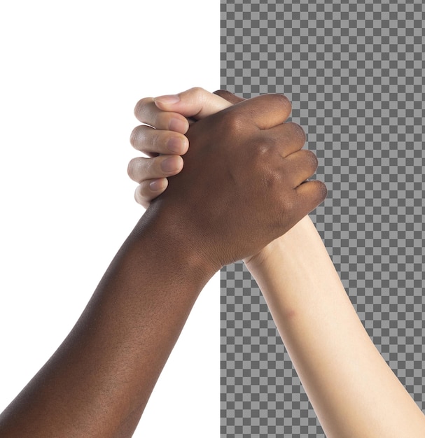 Multidinárias jovens mulheres seguram as mãos umas às outras eles mostram negócio amigo equipe harmonia têm expressões positivas acordo aperto de mão conceito de unidade de negócios fundo branco isolado
