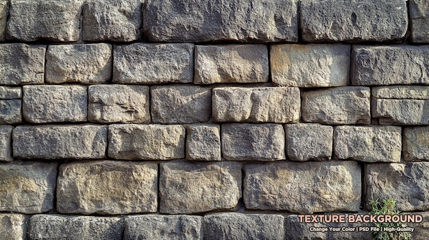 Le mur du bâtiment de la mer de rochers de différentes couleurs forme ronde