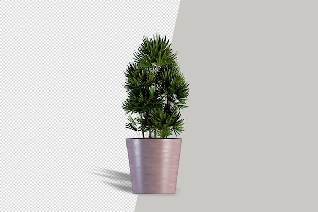 Nahaufnahme auf Blume im Topf Interieur 3D-Rendering