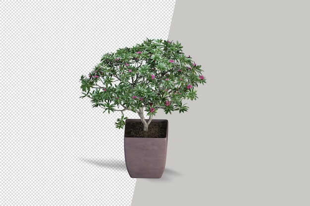 Nahaufnahme auf Blume im Topf Interieur 3D-Rendering