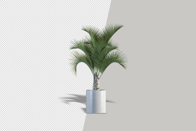Nahaufnahme auf Blume im Topf Interieur 3D-Rendering