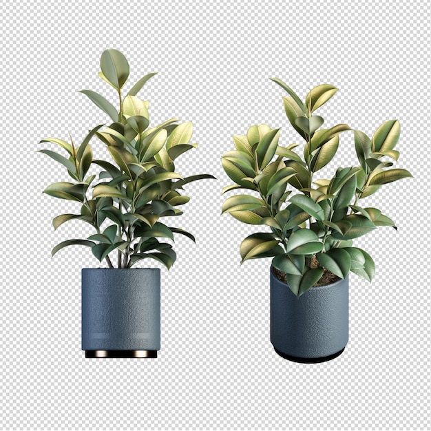 Nahaufnahme auf Blume im Topf Interieur 3D-Rendering
