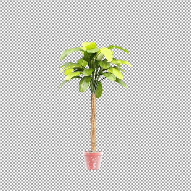 Nahaufnahme einer Blume in einer Vase 3D-Rendering