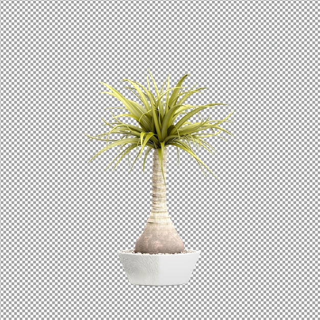 Nahaufnahme einer Blume in einer Vase 3D-Rendering