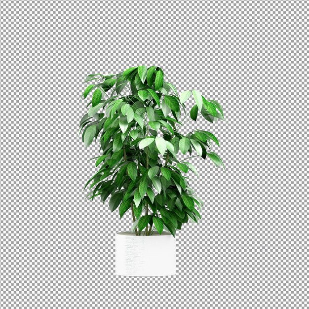 Nahaufnahme einer Blume in einer Vase 3D-Rendering
