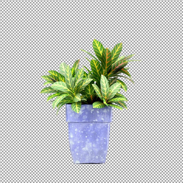 Nahaufnahme einer Blume in einer Vase 3D-Rendering