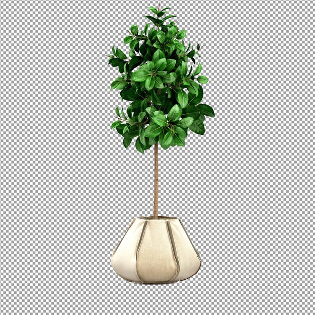 Nahaufnahme einer Blume in einer Vase 3D-Rendering