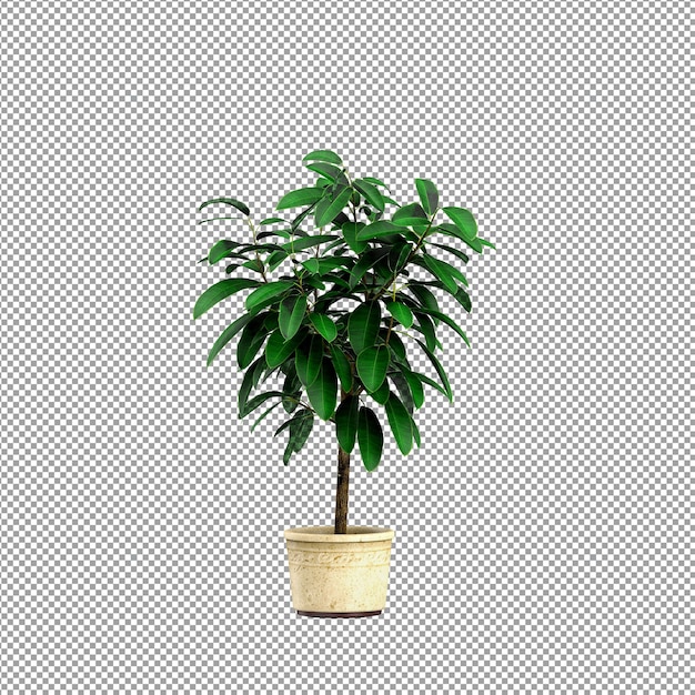 Nahaufnahme einer Blume in einer Vase 3D-Rendering