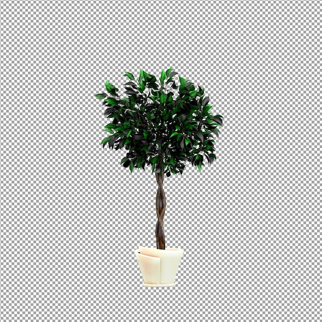 Nahaufnahme einer Blume in einer Vase 3D-Rendering