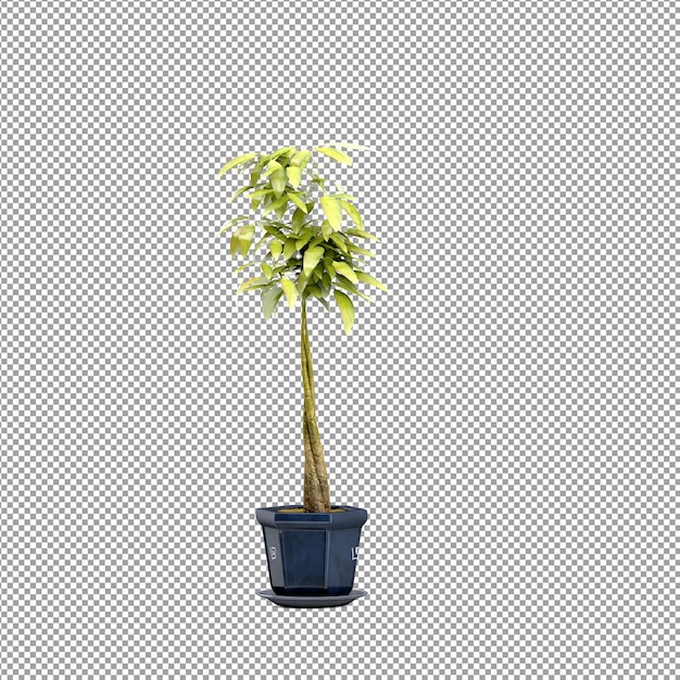 Nahaufnahme einer Blume in einer Vase 3D-Rendering