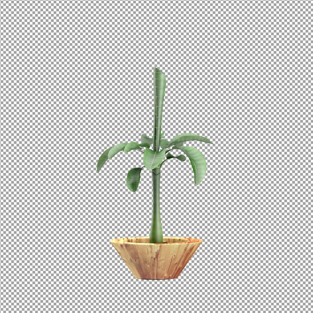 Nahaufnahme einer Blume in einer Vase 3D-Rendering