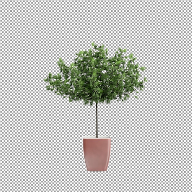 Nahaufnahme einer Blume in einer Vase 3D-Rendering