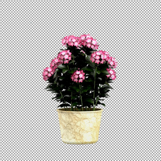 Nahaufnahme einer Blume in einer Vase 3D-Rendering