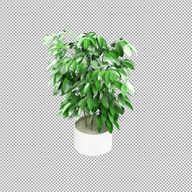 Nahaufnahme einer Blume in einer Vase 3D-Rendering