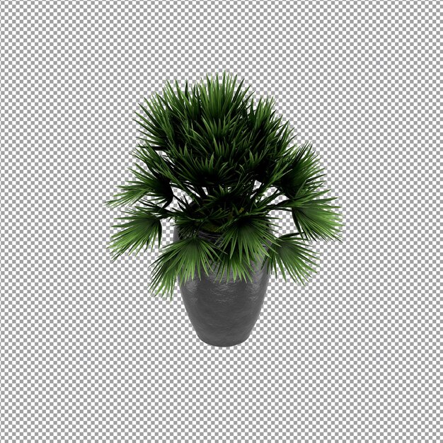 Nahaufnahme einer Blume in einer Vase 3D-Rendering
