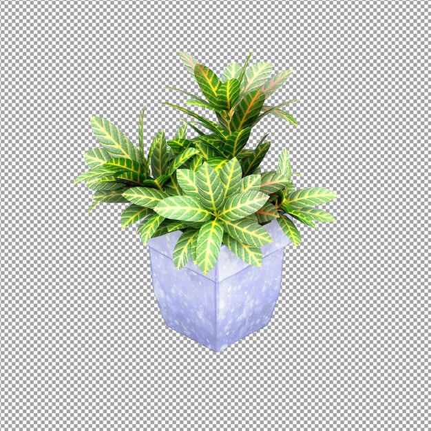 Nahaufnahme einer Blume in einer Vase 3D-Rendering