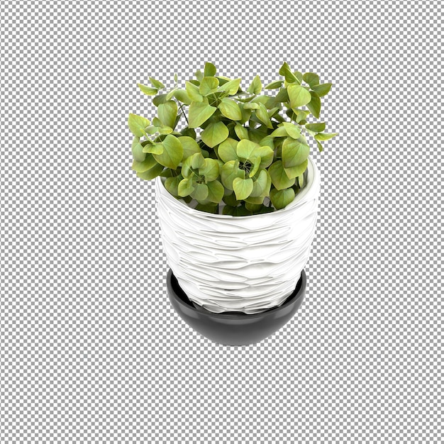 Nahaufnahme einer blume in einer vase in 3d-rendering