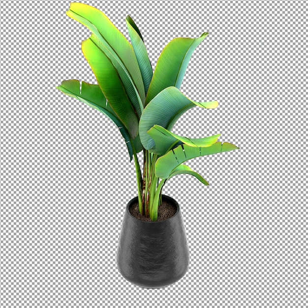 Nahaufnahme einer Blume in einer Vase in 3D-Rendering