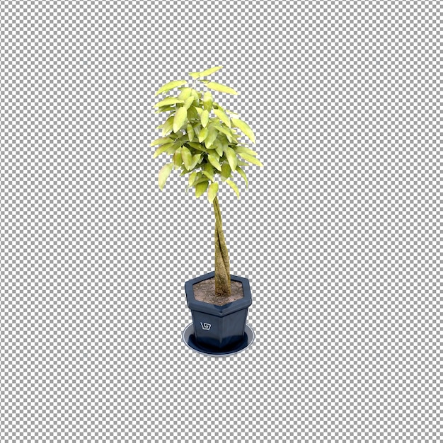 Nahaufnahme einer blume in einer vase in 3d-rendering