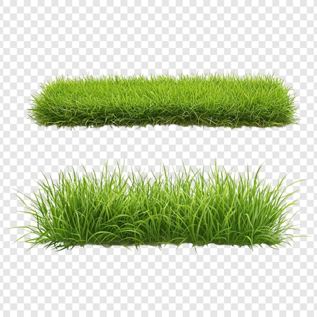 Nahaufnahme von lebendig grünem Gras, perfekt für Natur- und Outdoor-Szenen
