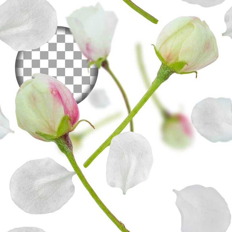 PSD nahtlose blumenkomposition mit weißen blüten und blütenblättern isolation auf durchsichtigem hintergrund