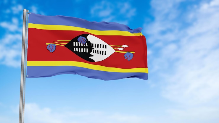 PSD national flag of eswatini