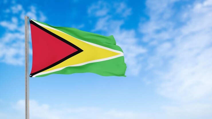 PSD national flag of guyana