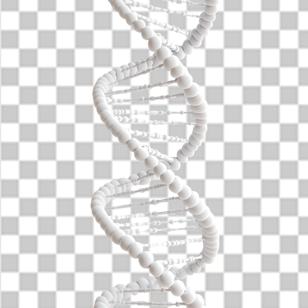 Nationaler DNA-Tag PSD PNG