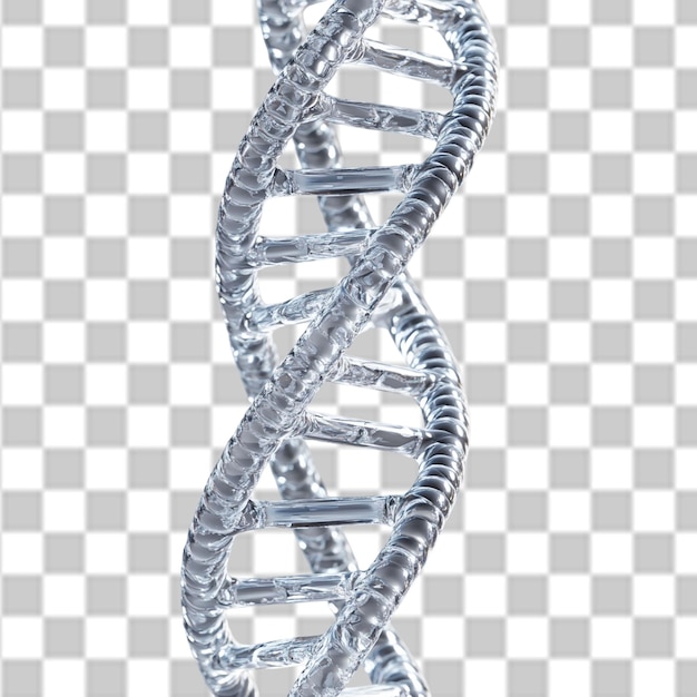Nationaler DNA-Tag PSD PNG