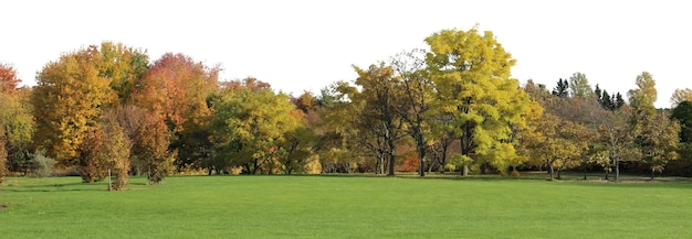 Natürliche Baum- und Parklandschaften mit offenen Wiesen und Landschaftsansichten