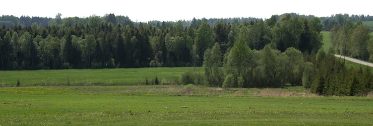 PSD natürliche baum- und parklandschaften mit offenen wiesen und landschaftsansichten