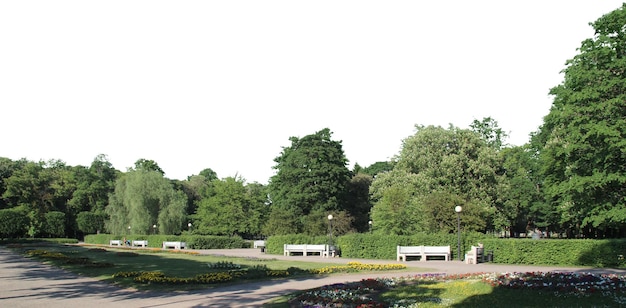 Natürliche Baum- und Parklandschaften mit offenen Wiesen und Landschaftsansichten
