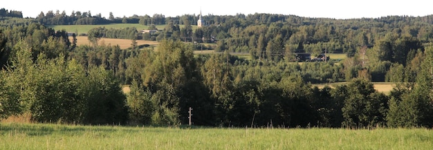 Natürliche Baum- und Parklandschaften mit offenen Wiesen und Landschaftsansichten