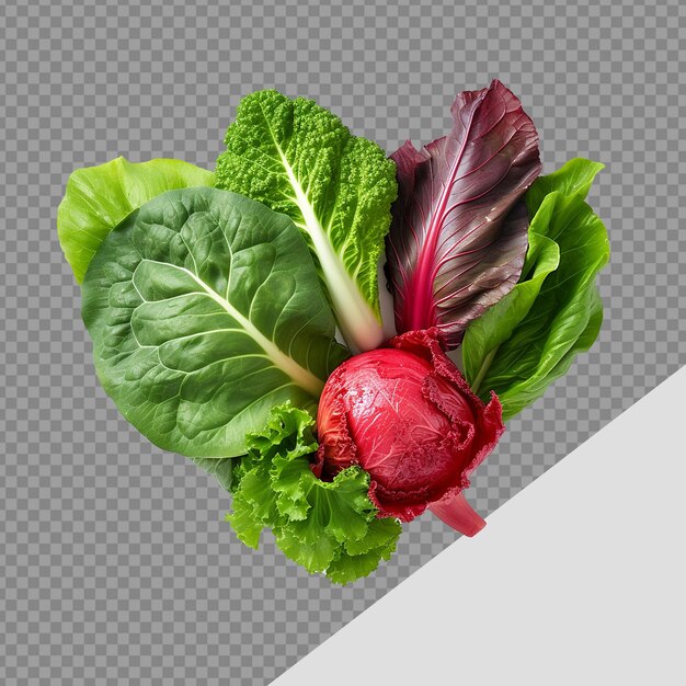 PSD natürliche lebensmittel blattgemüse png isoliert auf durchsichtigem hintergrund