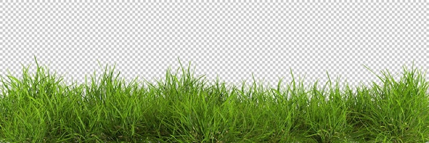 Natürliches frisches grünes gras ausgeschnittene hintergründe 3d-rendering