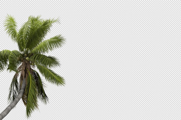 Natur Landschaft Gras 3D-Stein-Render